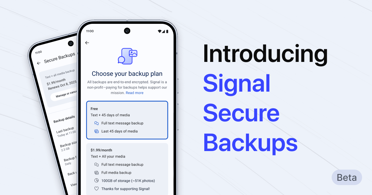 German WS screening mechanisms